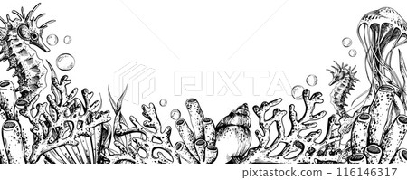 Seahorse and jellyfish with shells, corals, fish, algae and bubbles. Marine illustration of the underwater world hand drawn in black ink graphically. Vector banner horizontal template in EPS. 116146317