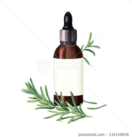 Composition with rosemary branch and brown glass bottle with dropper and label for essential, cosmetic oil. Hand drawn watercolor illustration isolated on white. For clip art template label 116146656