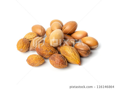 Argan Nuts Isolated, Argania Oil Seeds for Natural Organic Cosmetic, Skincare Argan Fruits 116146864