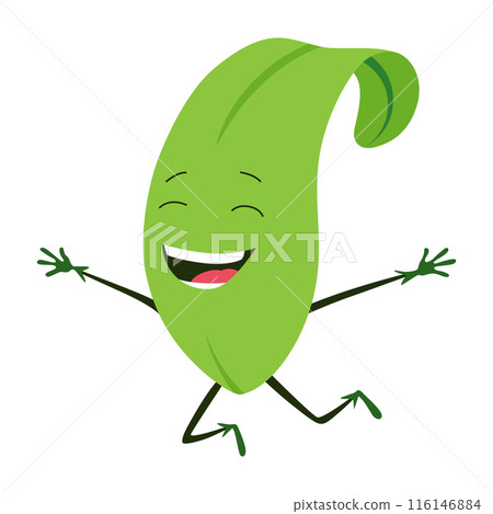 Green leaves character. Cute happy funny smiling leaf character. Vector illustration isolated on white background Green leaves character. Cute happy funny smiling leaf character. Vector illustration isolated on white background 116146884