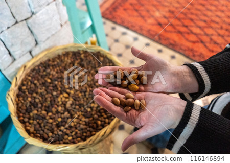Argan Nuts in Hand, Argania Oil Seeds Local Production in Morocco, Natural Organic Cosmetic Shop Argan Nuts in Hand, Argania Oil Seeds Local Production in Morocco, Natural Organic Cosmetic Shop 116146894