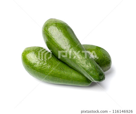 Avocado Isolated, Whole Avokado, Green Avocados Slice, Fresh Alligator Pear, Long Avocado Fruit Avocado Isolated, Whole Avokado, Green Avocados Slice, Fresh Alligator Pear, Long Avocado Fruit 116146926