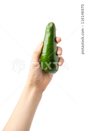 Avocado Isolated, Whole Avokado, Green Avocados Slice, Fresh Alligator Pear, Long Avocado Fruit 116146970