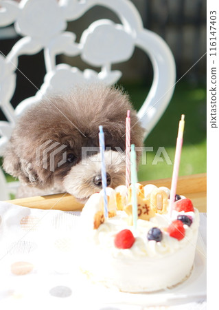 happy Birthday happy Birthday 116147403