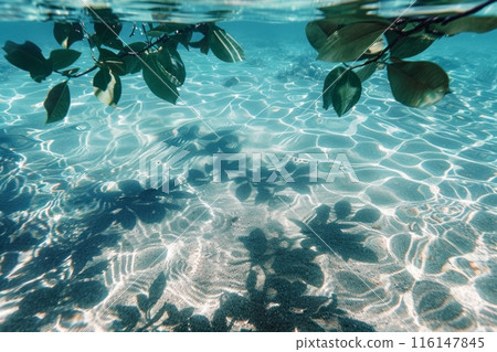 The dappled shadow of lush tropical leaves dances delicately on the crystal-clear surface of the tranquil tropical beach, creating a mesmerizing play of light and shadow 116147845
