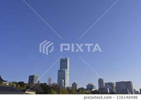 Abeno Harukas distant view Abeno Harukas distant view 116148496