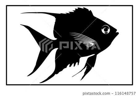 Archer Fish Isolated On White Background. Archerfish unique silhouette design illustration. Archer Fish Isolated On White Background. Archerfish unique silhouette design illustration. 116148757