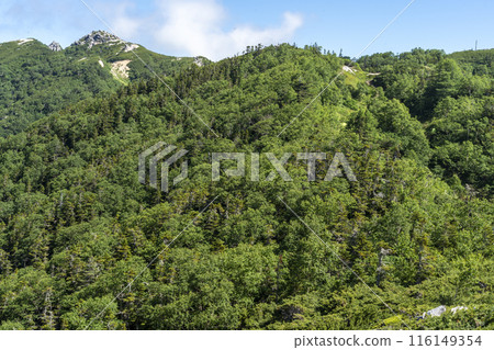 山地夏季風景 山地夏季風景 116149354