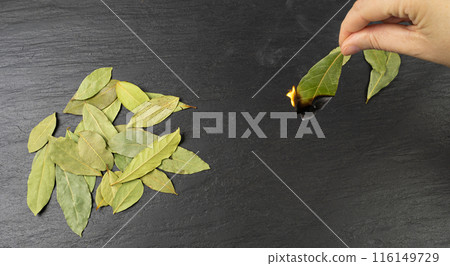 Dry Bay Leaves, Laurel Leaf, Natural Spicy Bayleaf, Fragrant Ingredient, Aromatic Spice Dry Bay Leaves, Laurel Leaf, Natural Spicy Bayleaf, Fragrant Ingredient, Aromatic Spice 116149729