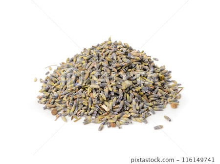 Dry lavender flowers isolated, lavandula perfume buds, petals, fragrance lilac blossoms, herbs Dry lavender flowers isolated, lavandula perfume buds, petals, fragrance lilac blossoms, herbs 116149741