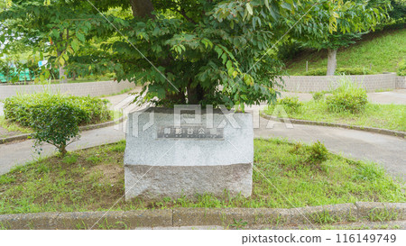 [Ichihara City, Chiba Prefecture] Mikagedai Park 116149749
