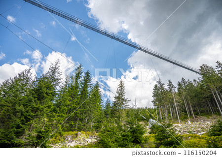 Sky Bridge 721, the worlds longest suspension footbridge in Dolni Morava, Czech Republic, offers stunning views of a forested valley with a bright blue sky and fluffy clouds. Sky Bridge 721, the worlds longest suspension footbridge in Dolni Morava, Czech Republic, offers stunning views of a forested valley with a bright blue sky and fluffy clouds. 116150204