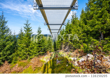 View of the worlds longest suspension footbridge, Sky Bridge 721, in Dolni Morava Resort, Czech Republic. The bridge spans over a dense forest, displaying its impressive length and design. View of the worlds longest suspension footbridge, Sky Bridge 721, in Dolni Morava Resort, Czech Republic. The bridge spans over a dense forest, displaying its impressive length and design. 116150205