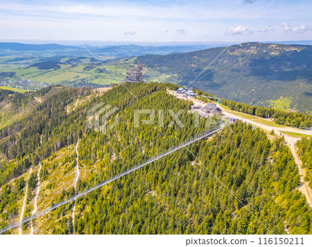 Aerial view of the Sky Bridge 721, the worlds longest suspension footbridge, stretching across a forested mountain in Czechia. The unique Sky Walk lookout tower stands nearby, offering panoramic views Aerial view of the Sky Bridge 721, the worlds longest suspension footbridge, stretching across a forested mountain in Czechia. The unique Sky Walk lookout tower stands nearby, offering panoramic views 116150211