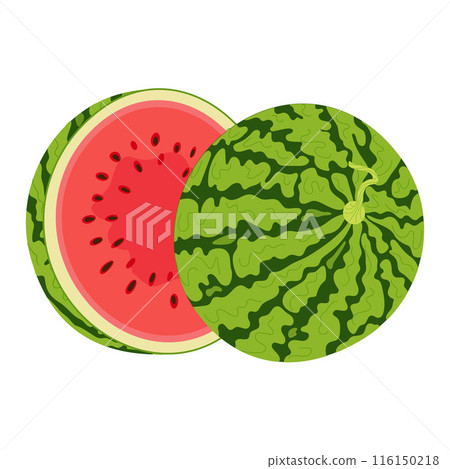 Ripe red cut watermelon Two watermelon halves Hand drawn flat style summer fruit 116150218