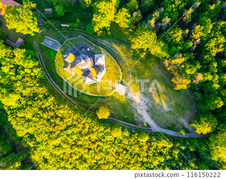Aerial view of the Church of Saint John the Baptist and Our Lady of Mount Carmel at Makova hora in Czechia, surrounded by lush green trees on a summer day. 116150222