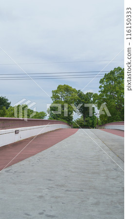 [Ichihara City, Chiba Prefecture] Kazusa Road and Rainbow Bridge 116150333