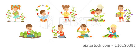 Happy Kid Character Harvesting Ripe Vegetables Vector Set Happy Kid Character Harvesting Ripe Vegetables Vector Set 116150395