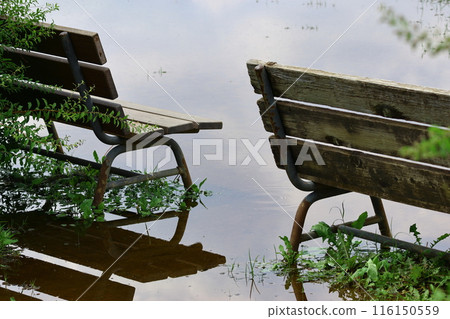 Wooden bench reflected on the water Wooden bench reflected on the water 116150559