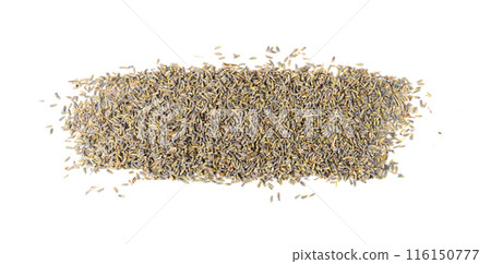 Dry lavender flowers isolated, scattered lavandula perfume buds, petals, fragrance lilac blossoms, herbs 116150777