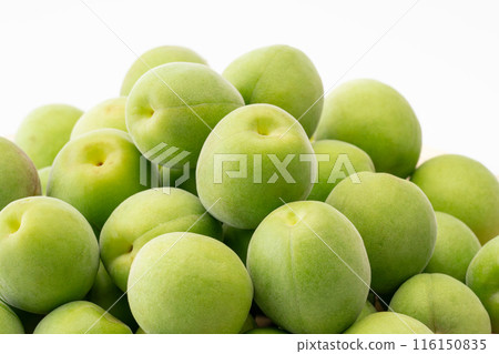 Close-up of unripe plums Close-up of unripe plums 116150835