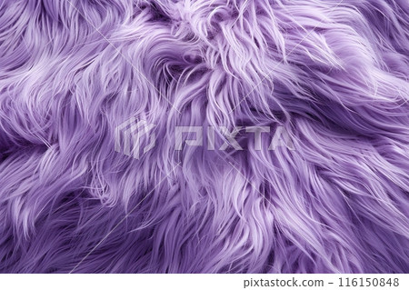 Purple fur background. Surface wool texture. Copy space for text. Textured violet furry coat closeup. Abstract pattern. Animal hair wallpaper. Shiny faux fluffy backdrop. Furry ground. Sheepskin rug 116150848
