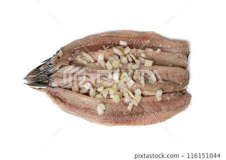 Dutch herring isolated, salted fish meat fillet, traditional maatjes, raw atlantic herring, matias Dutch herring isolated, salted fish meat fillet, traditional maatjes, raw atlantic herring, matias 116151044