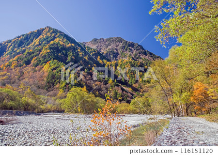 [秋天的上高地]明神橋周圍的秋景 從河童橋到明神的風景（梓川右岸路線） 116151120
