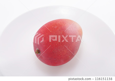 新鮮的芒果 新鮮的芒果 116151138