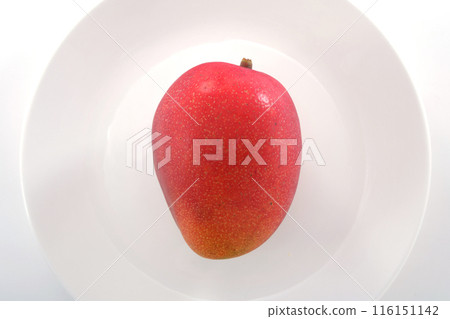 Fresh mango Fresh mango 116151142