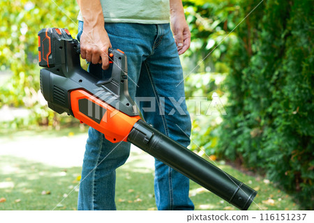 Cordless Leaf Blowers. handheld, cordless, electric leaf blower in a garden, selective focus. Autumn, fall gardening works in a backyard, on a lawn, grass. Garden works. 116151237
