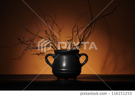 Mysterious black cauldron with dry plants in spotlight on pumpkin orange background. Represents Halloween, magic, and fantasy concepts. 116151253
