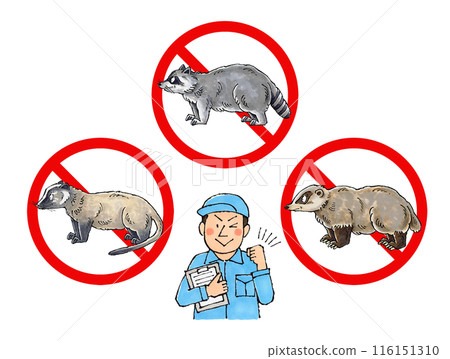 Male worker at a pest control company (no civets, raccoons, or badgers sign) 116151310