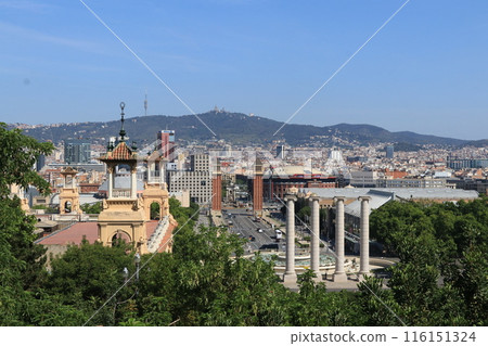 The streets of Barcelona The streets of Barcelona 116151324