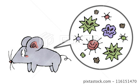Rats and germs 116151470