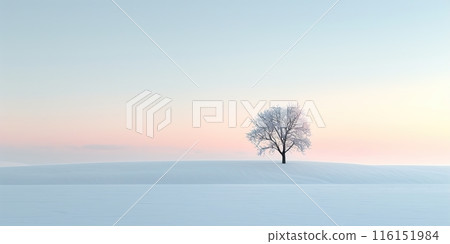 Winter loneliness. Lonely tree in winter. Solitary single tree. Amazing winter landscape with snowy mountains valley. Pink purple blue sunrise sky glowing on background. Foggy landscape. 116151984