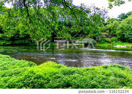 [Shizuoka] Kakitagawa Park in early autumn: Kakitagawa River as seen from Yatsuhashi 116152234