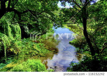 [Shizuoka] Kakitagawa Park in early autumn: The upper reaches of the Kakitagawa River as seen from the first observation deck 116152242