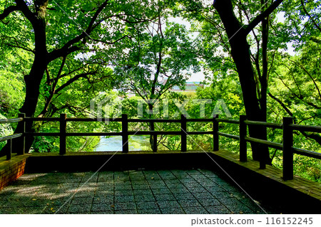 [Shizuoka] Kakitagawa Park in early autumn: First Observation Deck and Kakitagawa River 116152245