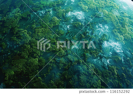 Ecosystem and healthy environment concept. Aerial top view green forest with globe earth, Green planet. Save Earth, Texture of forest. Ecological travel, conservation, climate change, global warming Ecosystem and healthy environment concept. Aerial top view green forest with globe earth, Green planet. Save Earth, Texture of forest. Ecological travel, conservation, climate change, global warming 116152292