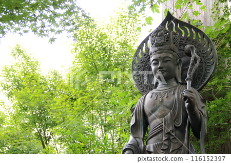 A stroll through a mountain temple where the spider lilies bloom: 38 (Daichiji Temple, Rinzai sect, Myoshinji school) 116152397