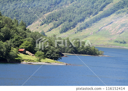 挪威峽灣峽谷中的房屋,具有斯堪的納維亞氛圍 挪威峽灣峽谷中的房屋,具有斯堪的納維亞氛圍 116152414
