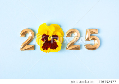 Gold numbers and yellow viola flowers on blue background. 2025 new year idea concept. Simple and clean design Happy New Year 2025 and Merry Christmas. Flat lay 116152477