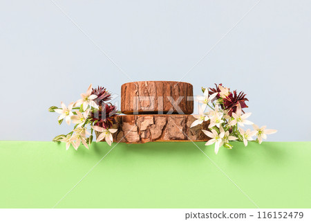 Concept scene stage showcase for new product, banner, promotion sale, cosmetic, presentation. Wood slice podium, white Ornithogalum flowers and burgundy aquilegia flowers on green background. Concept scene stage showcase for new product, banner, promotion sale, cosmetic, presentation. Wood slice podium, white Ornithogalum flowers and burgundy aquilegia flowers on green background. 116152479