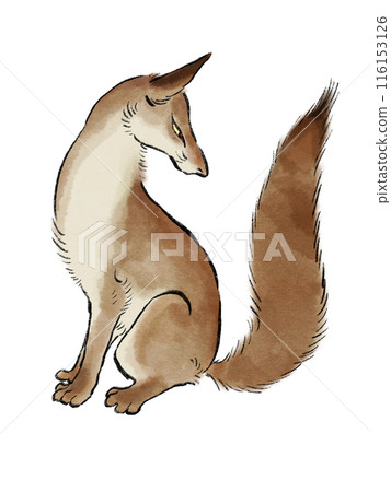 日式狐狸插畫 116153126