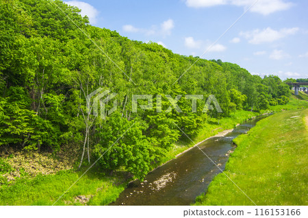 Lush rural stream in summer 116153166