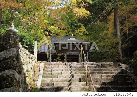 紅葉漫步（靈海山橫藏寺）22（岐阜縣揖斐郡揖斐川町橫藏地區） 116153542