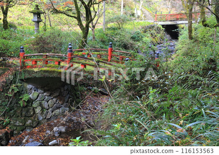 Autumn leaves walk (Ryokaisan Yokozoji Temple) 14 (Yokozo area, Ibigawa-cho, Ibi-gun, Gifu Prefecture) 116153563