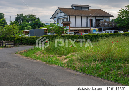 Scenery of Tahara Furusato Park Scenery of Tahara Furusato Park 116153861