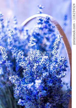 Close-up of lavender flowers, Soft focus Close-up of lavender flowers, Soft focus 116154324